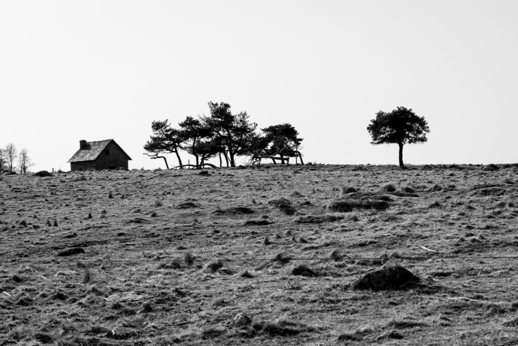 Black and White landscapes and people Catherine Hartmann