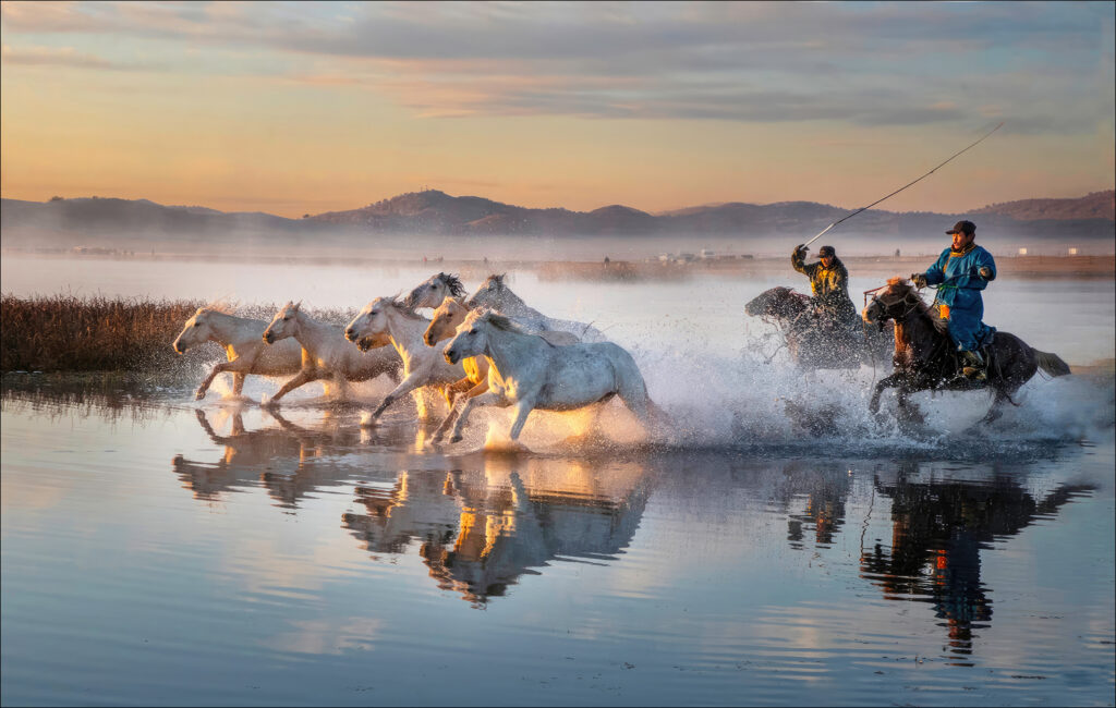 Horses in Water 95