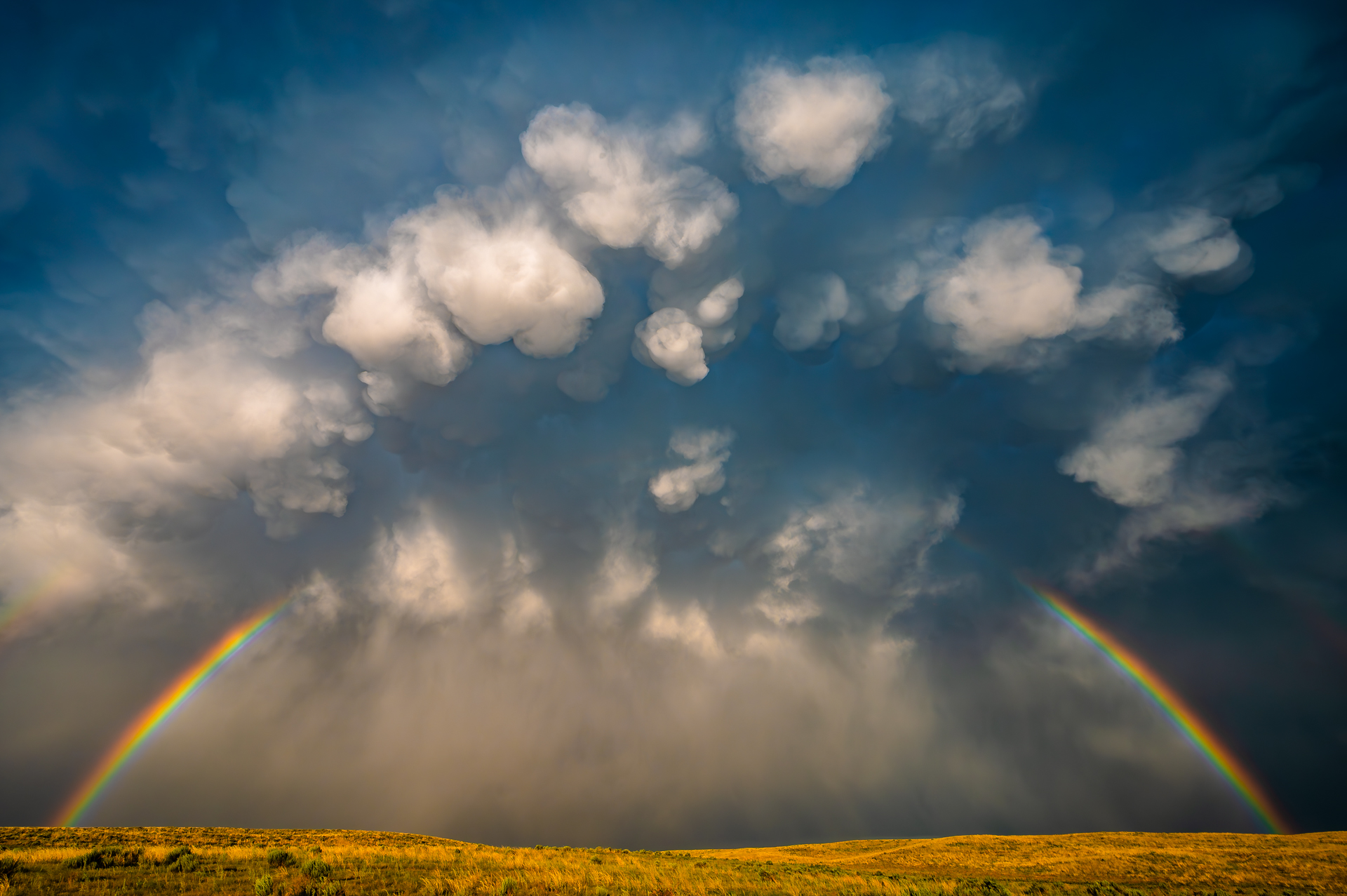 The Solitude of Storms