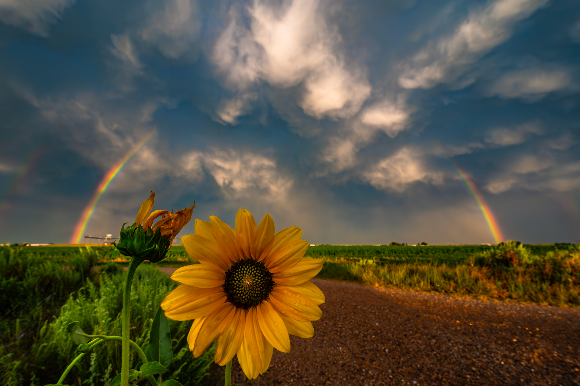 The Solitude of Storms