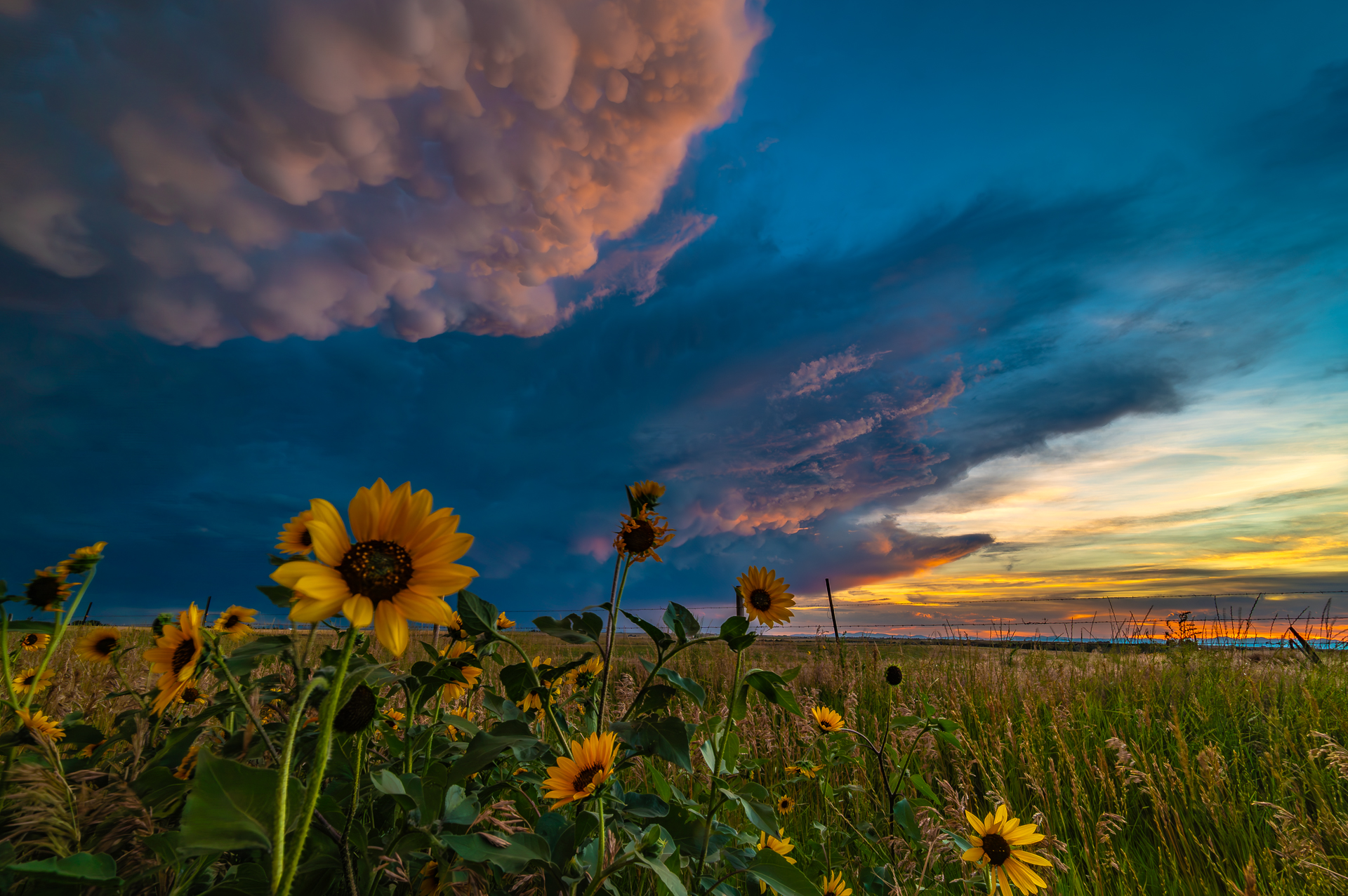 The Solitude of Storms