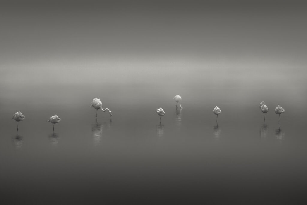 The Gathering
