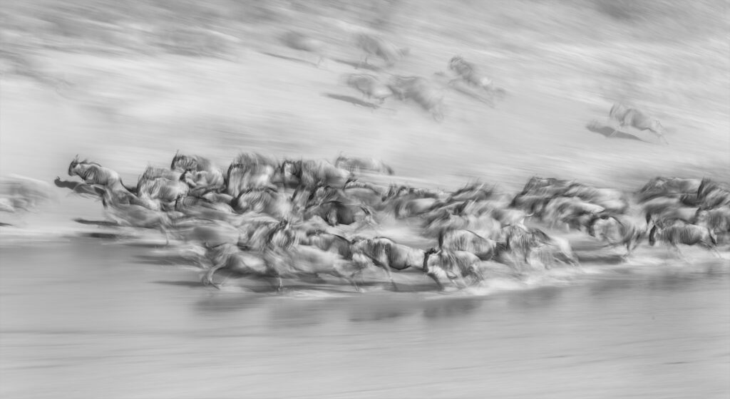 Galloping