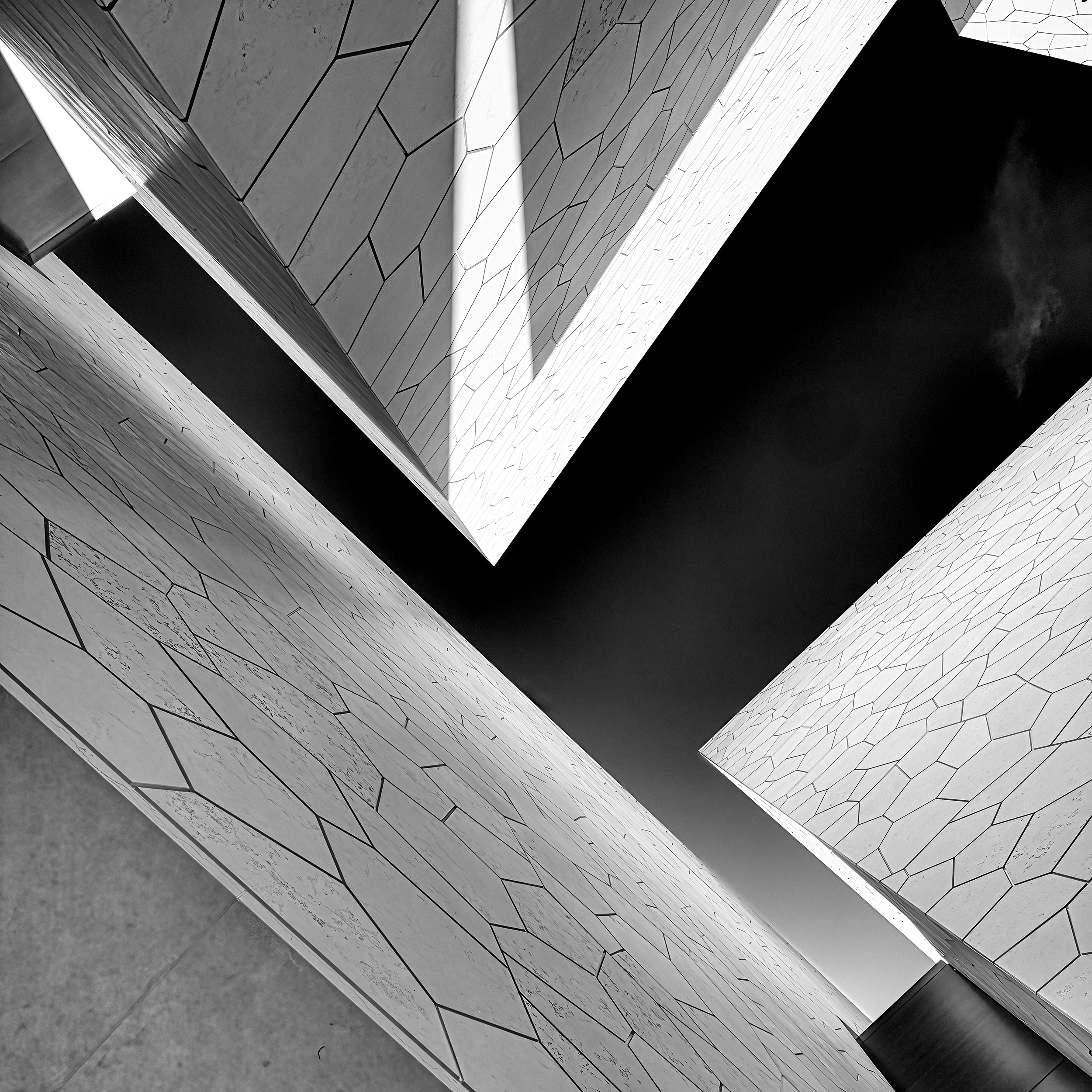 Silent Forms