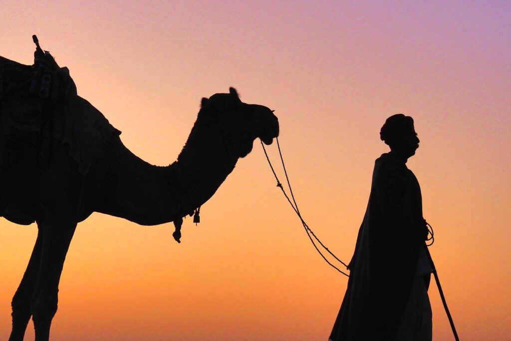 In the glow of the desert