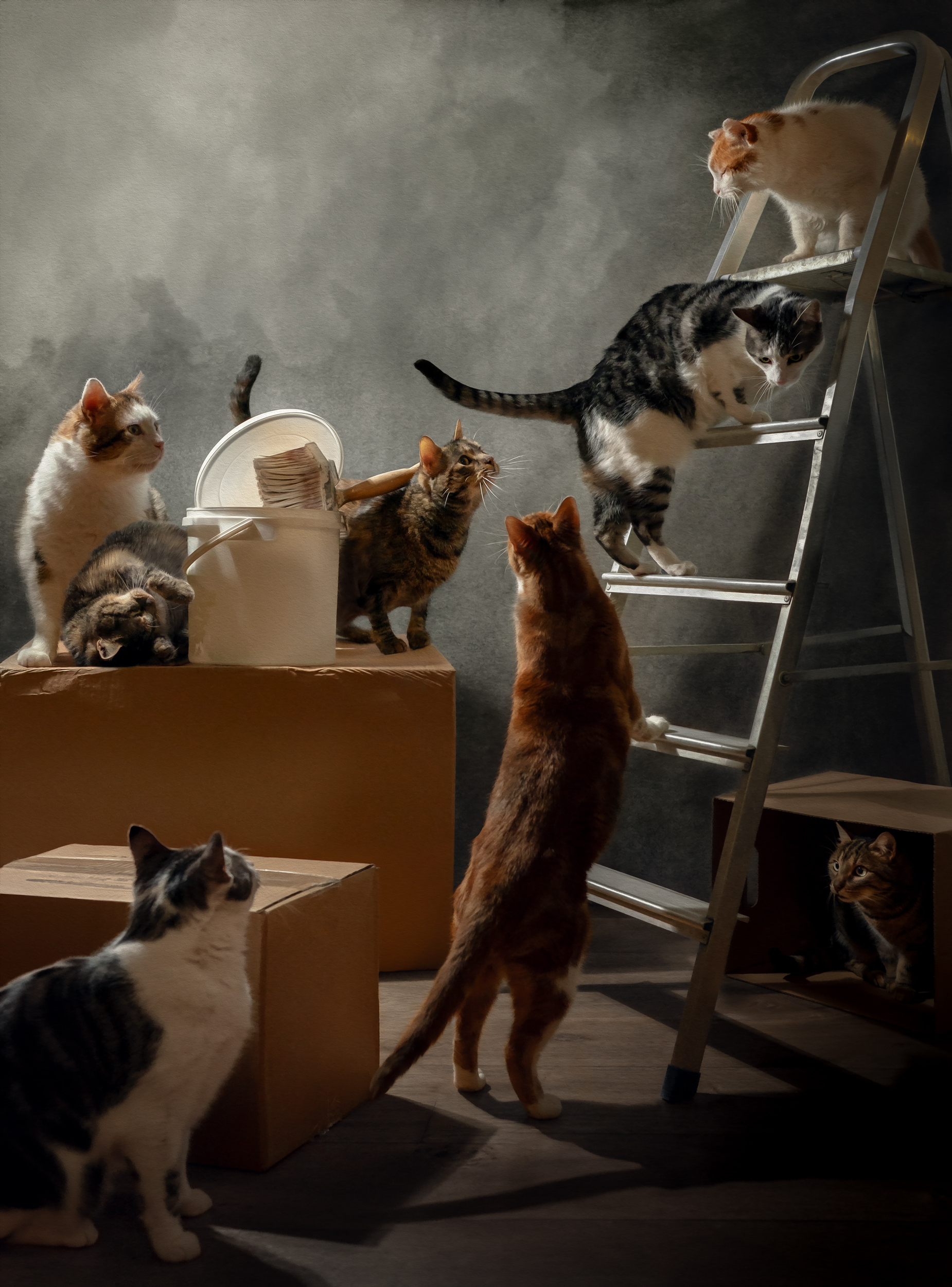 Animal Theater