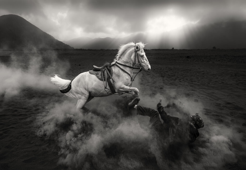 Angry Horse