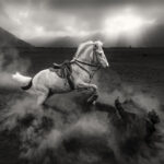 Angry Horse