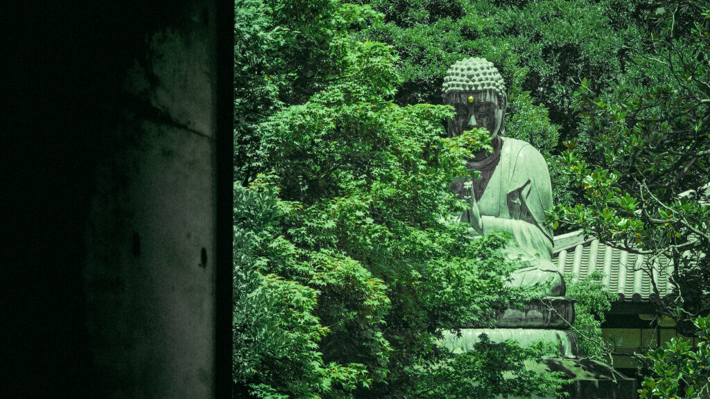 Stillness and light in the land of the Rising Sun