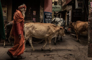 India e Giappone