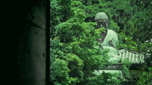 Stillness and light in the land of the Rising Sun