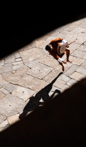 Chasing Light, Finding Wisdom.