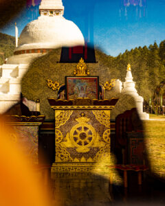Chasing Light, Finding Wisdom.