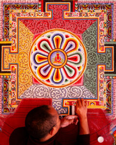 Chasing Light, Finding Wisdom.