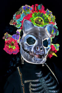 Day Of The Dead