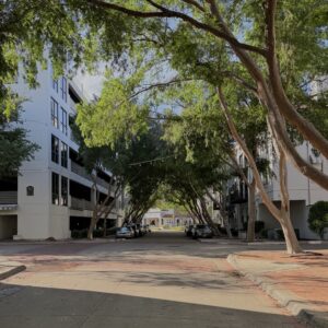 A Walk in Las Colinas, TX