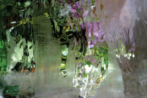 Ice / Water: States of Transformation