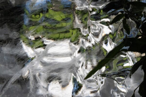 Ice / Water: States of Transformation