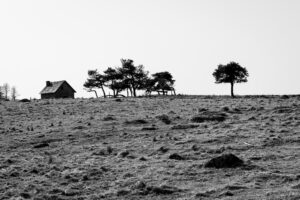 Black and White landscapes and people Catherine Hartmann