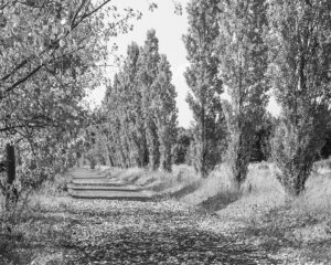 Where the Land Waits