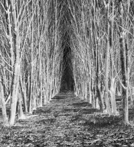 Where the Land Waits