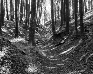 Where the Land Waits