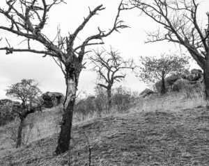 Where the Land Waits