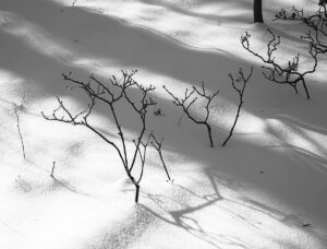 White Intervals