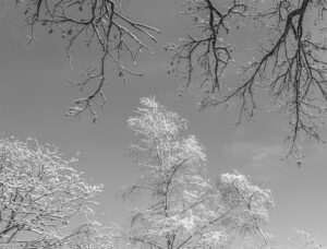 White Intervals