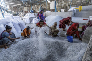 Plastic waste collection