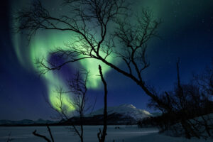 Polar Research Diving