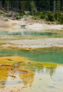 Ghosts of Yellowstone