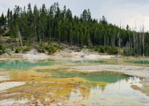 Ghosts of Yellowstone
