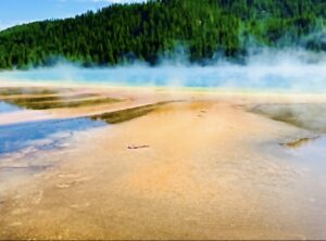 Ghosts of Yellowstone