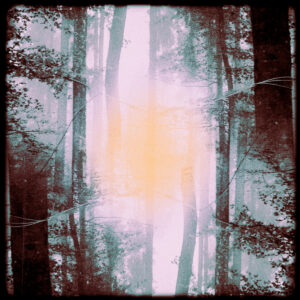 Spectral Fields