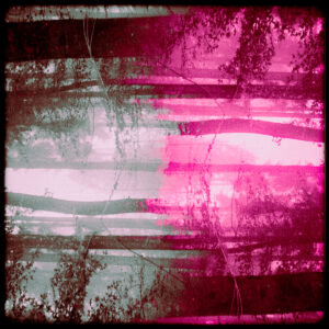 Spectral Fields