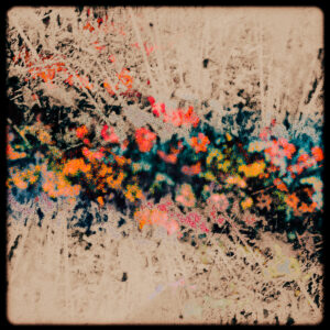 Spectral Fields