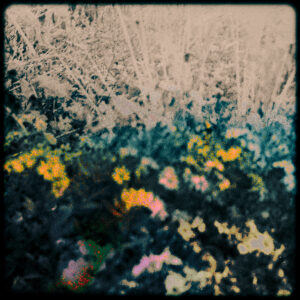 Spectral Fields