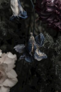Withering and Vitality