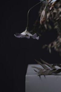 Withering and Vitality