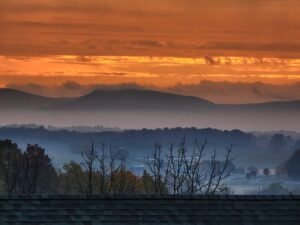 Jody Ellis Widelitz Photography
