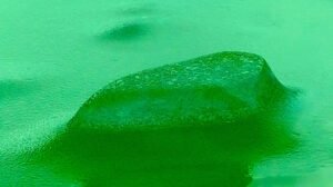 Emerald Ephemeral