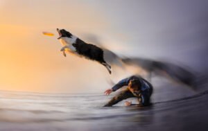 Animal Theater