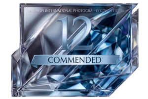 COMMENDED badge