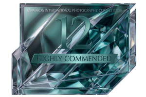 HIGHLY COMMENDED badge