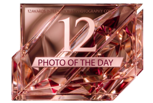 PHOTO OF THE DAY badge