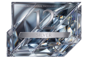 Silver badge